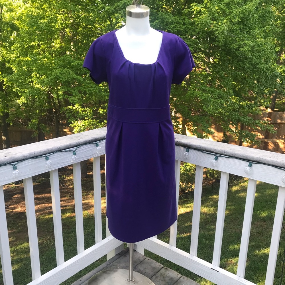 Plus Size Purple Dress